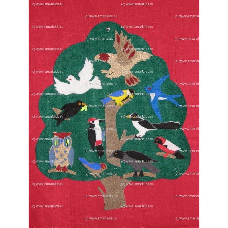 Пособие «Лесные птицы»