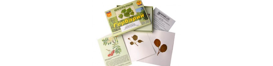 Натуральные объекты
