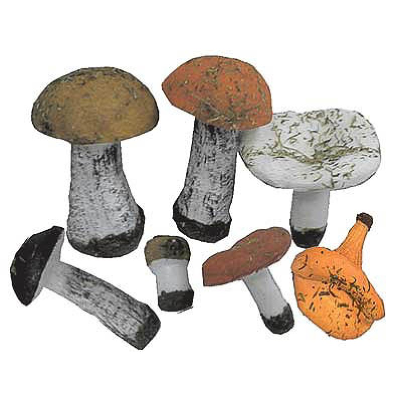 Набор муляжей грибов