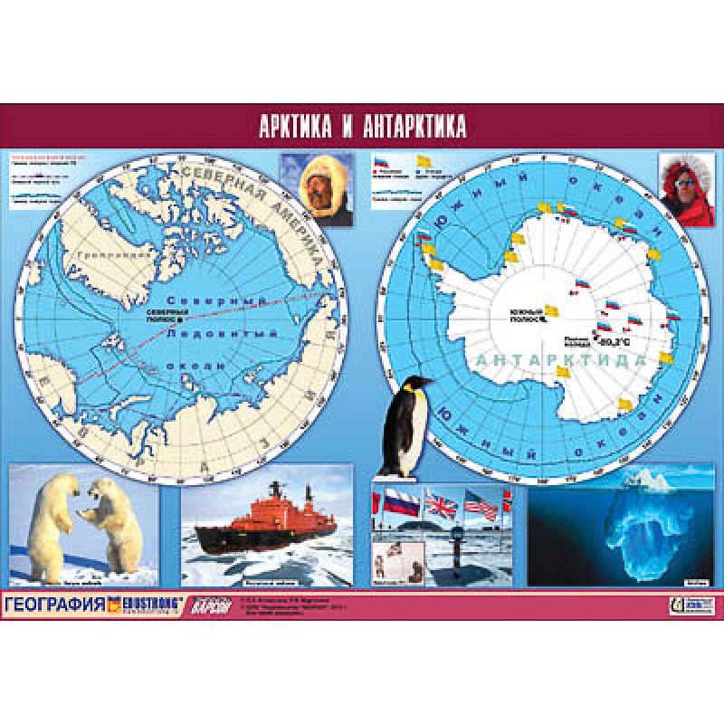 Таблица демонстрационная "Арктика и Антарктика" (винил 100х140)