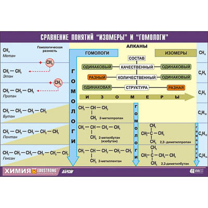 Таблица демонстрационная "Сравнение понятий изомер и гомолог" (винил 100х140)