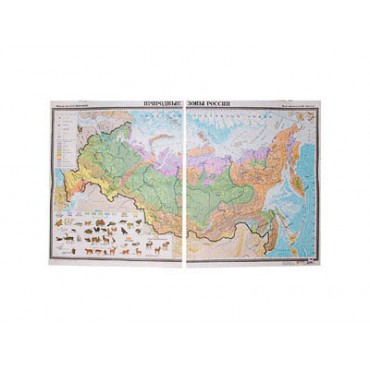 Учебная карта "Природные зоны России" (матовое, 2-стороннее лам.)