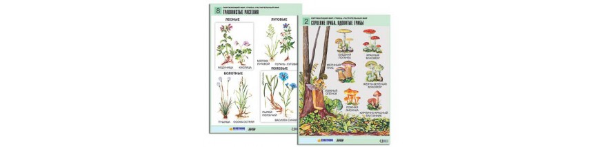 Печатные пособия демонстрационные
